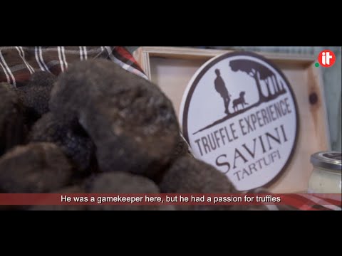 Digitali Per Caso | Savini Tartufi