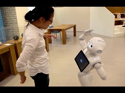 Meet Pepper, the Friendly Humanoid Robot