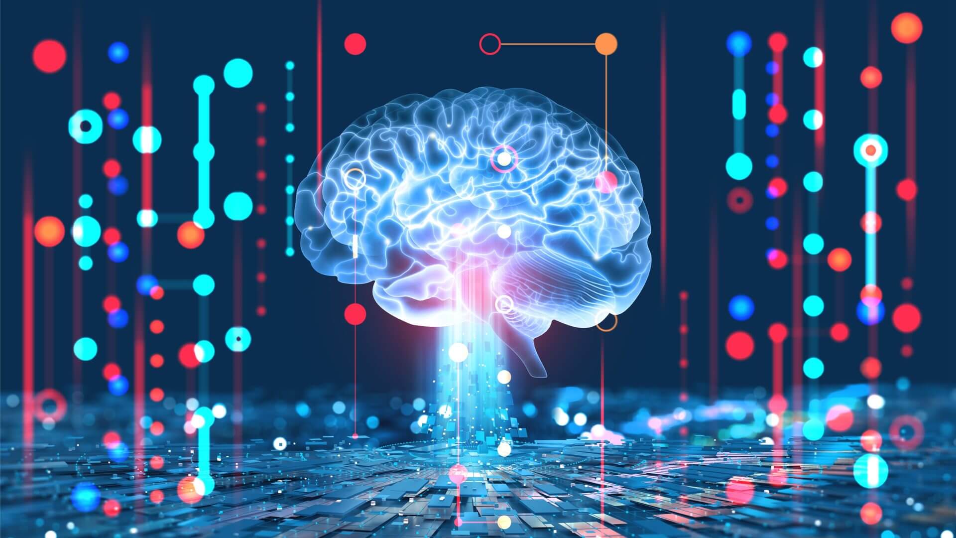 neuro scienze, cervello brain